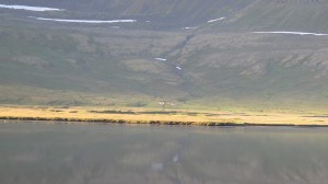 IMG_4295