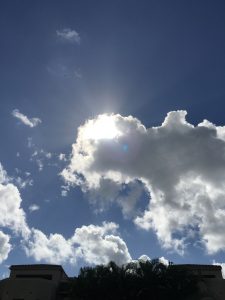IMG_3311